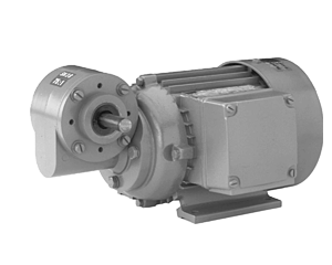 SN13FH Schneckengetriebe mit Drehstrommotor